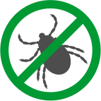 Уничтожение клещей на участке в Новосибирске