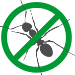 Уничтожение муравьев в Новосибирске